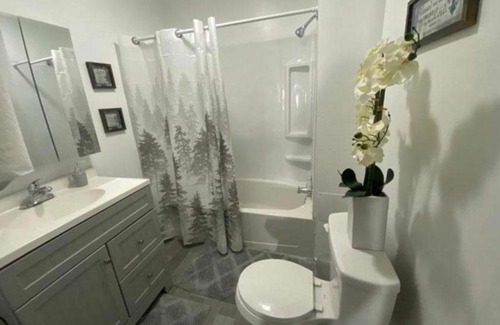 Downtown Indianapolis Ski Chalet | Indianapolis Indiana 3 Minutes from downtown fully furnished Beautiful 3 bedroom