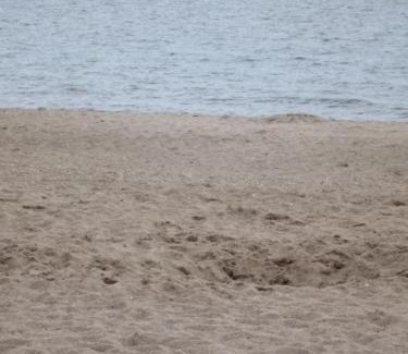 Ingoldmells Other | Ingoldmells Skegness holiday break at coral beach by Hannah