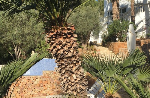 Santa Eulalia del Rio Apartment | Inmitten Eines Mediteranen Gartens, Terrassiert, Befindet Sich das Appartment