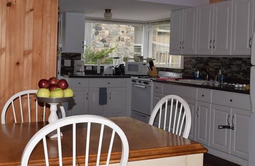 Bellaire Cottage | Intermediate Lake Cottage-230' Beautiful Sandy Beach