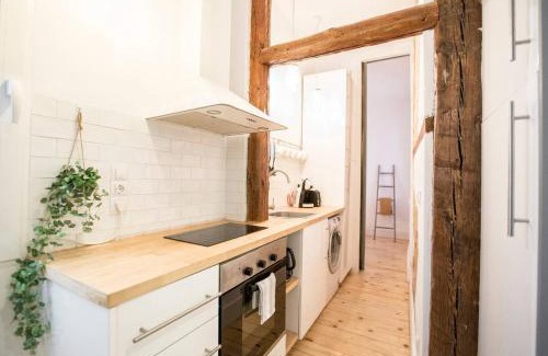 Embajadores Apartment | INTIMATE AND ARTISTIC FLAT WIFI PUERTA DEL SOL