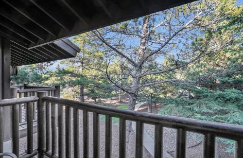 North Park City Apartment | Intimate Mtn Studio, Walk to Main St