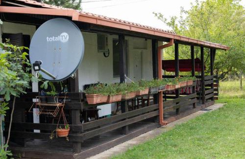 Mladenovac House | Iris pool house