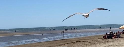 Ayamonte Apartment | Isla Canela 2 dormitorios Paseo de los gavilanes blq1 n 13