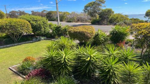Lake Wangary House | Island View 1
