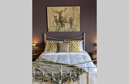Downpatrick Apartment | Island View
