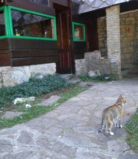 Babanovac Ski Chalet | Ismar&Hanna
