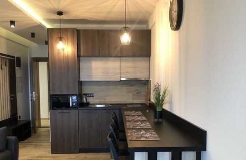 Lisina Apartment | Ivan Lux Milmari Kopaonik