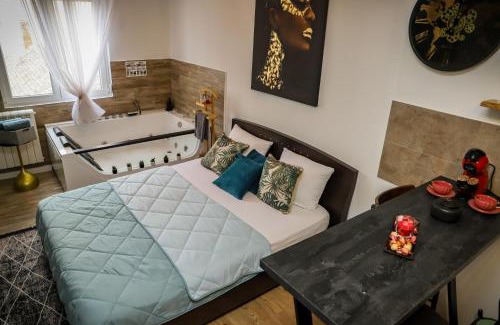 Grbavica Apartment | Jacuzzi Express