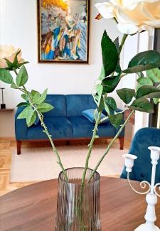 Subotica Apartment | Jacuzzi Life