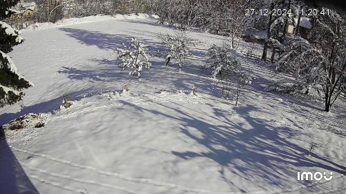 Pale House | Jahorina Shack