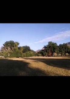 Tepoztlan Other | Jardín El Cocodrilo