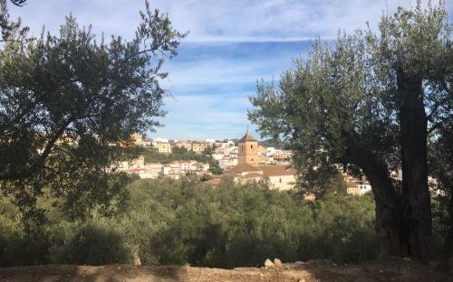 Pinos del Valle Apartment | Jardin Andaluz Appart Alhambra