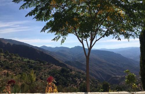 Pinos del Valle Apartment | Jardin Andaluz Appart Alhambra