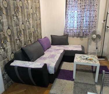 Pirot Apartment | Jednosoban stan-centar-Ela
