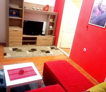 Pirot Apartment | Jednosoban stan centar