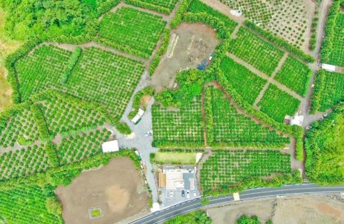 Jocheon House | Jeju Bomewasan