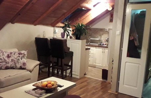 Bajina Basta Apartment | Jela suit