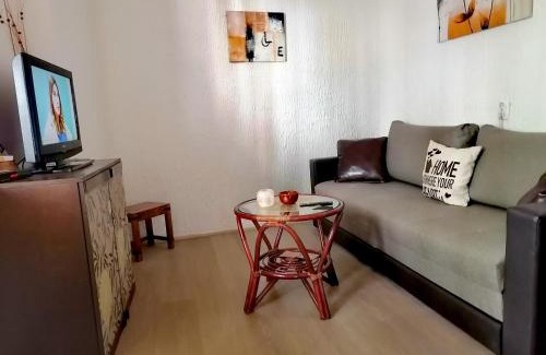 Vracar Apartment | Jelena Apartment
