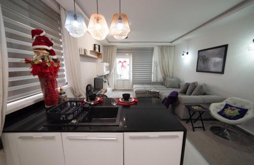 Novi Sad Apartment | JelenaR