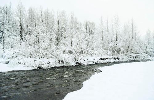 Girdwood Hotel | Jewel Chalet