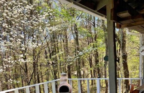 Gainesboro Cabin | JJ’s Trout and About