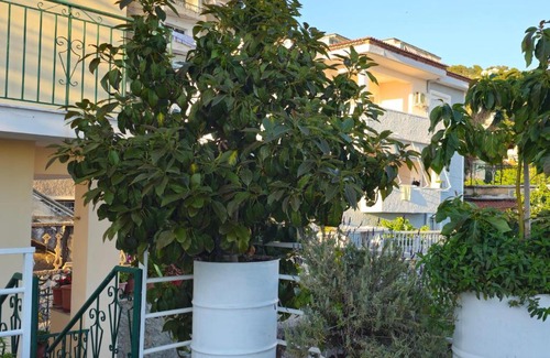 Qender Apartment | Joen Apartments