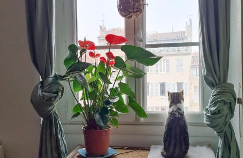 Thiers House | Jolie chambre dans appartement cosy en plein centre