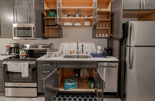 Westown Apartment | Journal Commons 316 · Private 1B Luxe | DT Riverside | Panther Arena