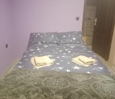 Central Serbia Bed & Breakfast | Južna priča Miki