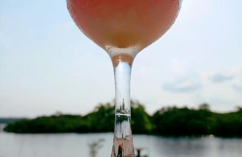 Manaus Resort | JUNGLE LIFE