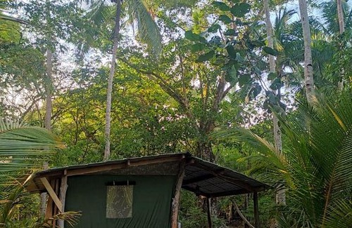 Paquera Other | Jungle Tent 3x3, Latino Glamping & Tours, Paquera