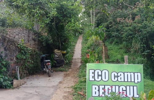 Candikuning Other | jungleadventure cabin camping