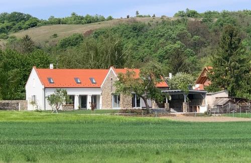 Balatonhenye House | Káli Kütyü