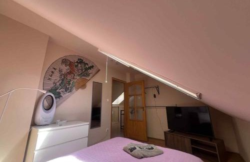 Szeged House | Kátay Apartman