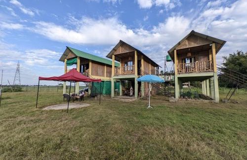 Golaghat Other | Kāziranga Nature Stay