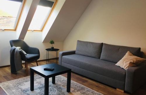 Gyor Apartment | K29-cozy apartment in the dowtown of Győr