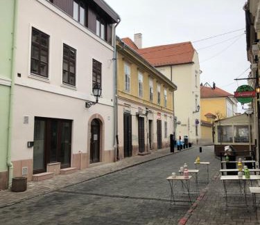 Gyor Apartment | K29-cozy apartment in the dowtown of Győr