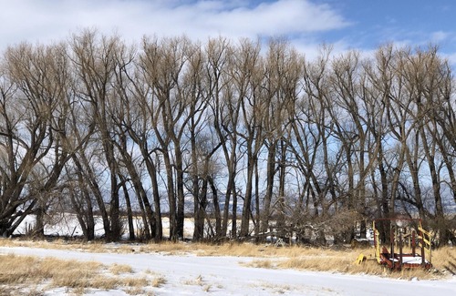 Ennis Cabin | K6 Cabin on Jeffers Ranch
