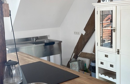 Sasbach am Kaiserstuhl Apartment | Kaiser Ben Loft mega suite for up to 12 people near Europapark