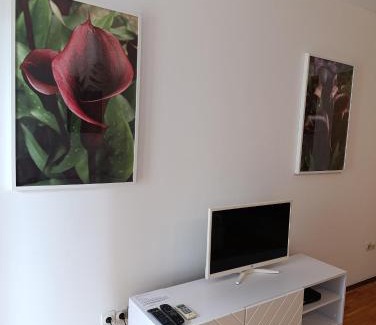 Vracar Apartment | Kala