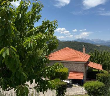 Kalavrita Villa | Kalavryta Villa Nano with fireplace and next the Ski Centre