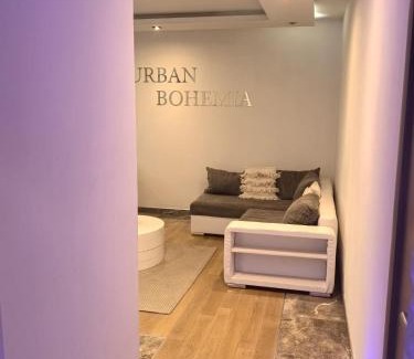 Dorcol Apartment | Kalemegdan park & Zoo - City center