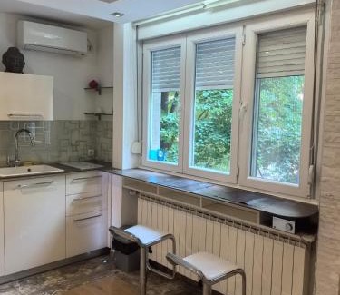 Dorcol Apartment | Kalemegdan park & Zoo - City center