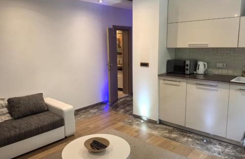 Dorcol Apartment | Kalemegdan park & Zoo - City center