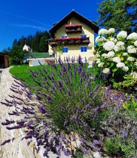 Gosau Apartment | Kalvarienberg Appartement Gosau