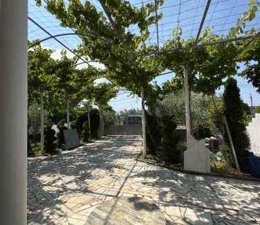 Qerek Apartment | Kameri apartments