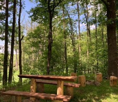 Volenice Other | Karavan Na Louce