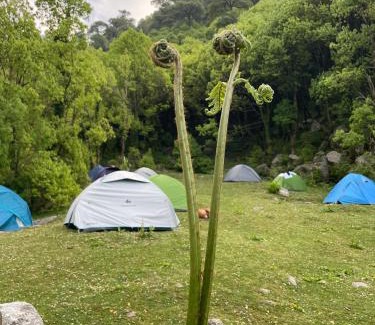 Dharamshala House | Kareri Kommune- The Last House