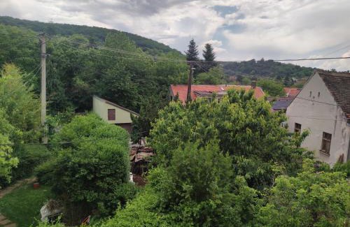 Sopron Apartment | Karmelita vendégház